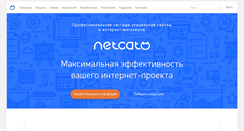 Desktop Screenshot of netcat.ru